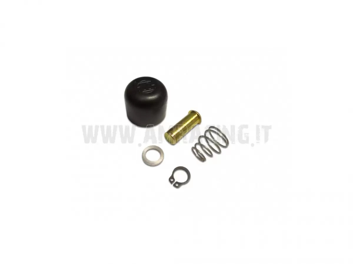 BOTÓN DE ARRANQUE EASYSTART J13 COMPLETO