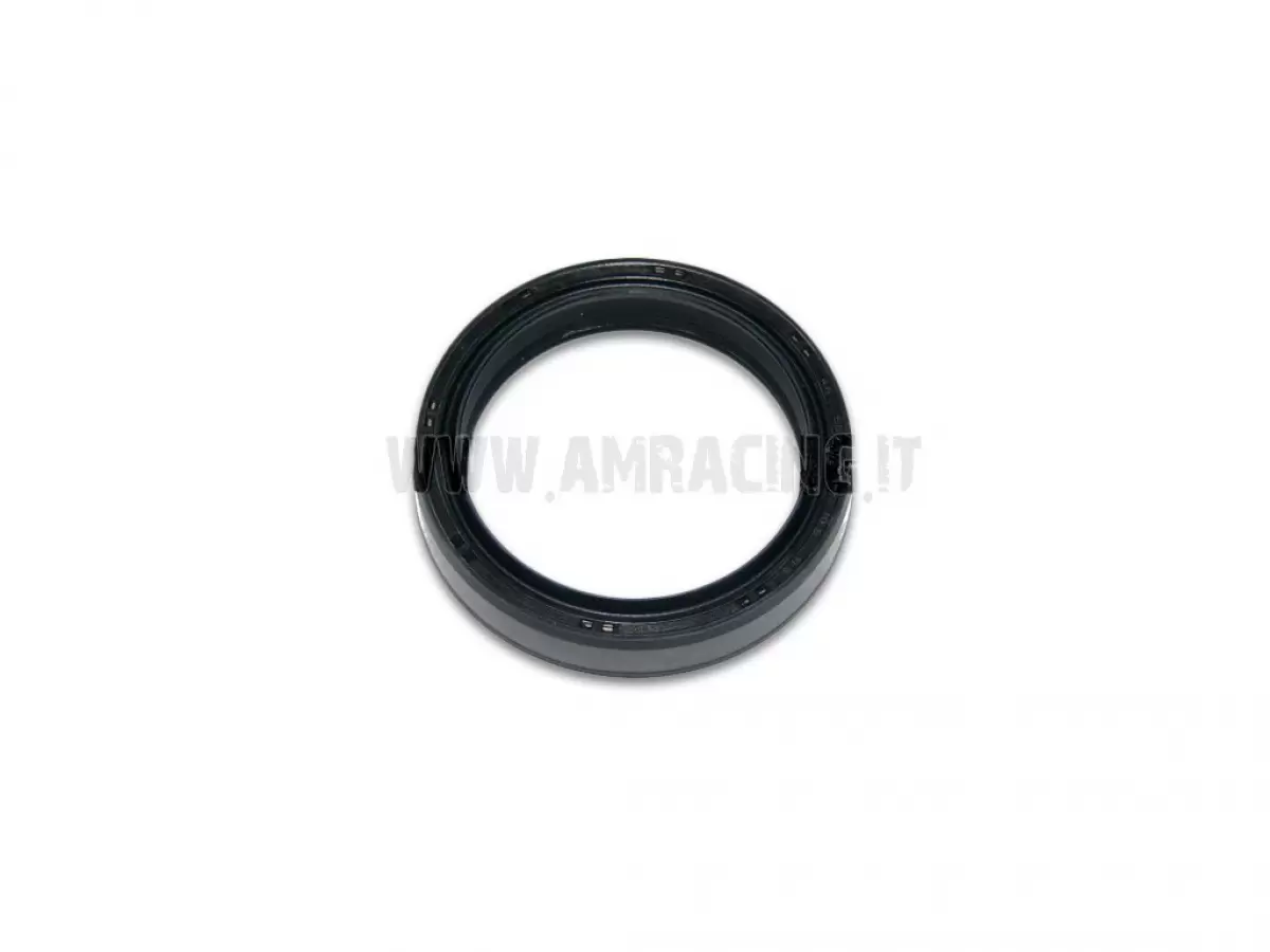PARAOLIO FORCELLA OHLINS 46mm