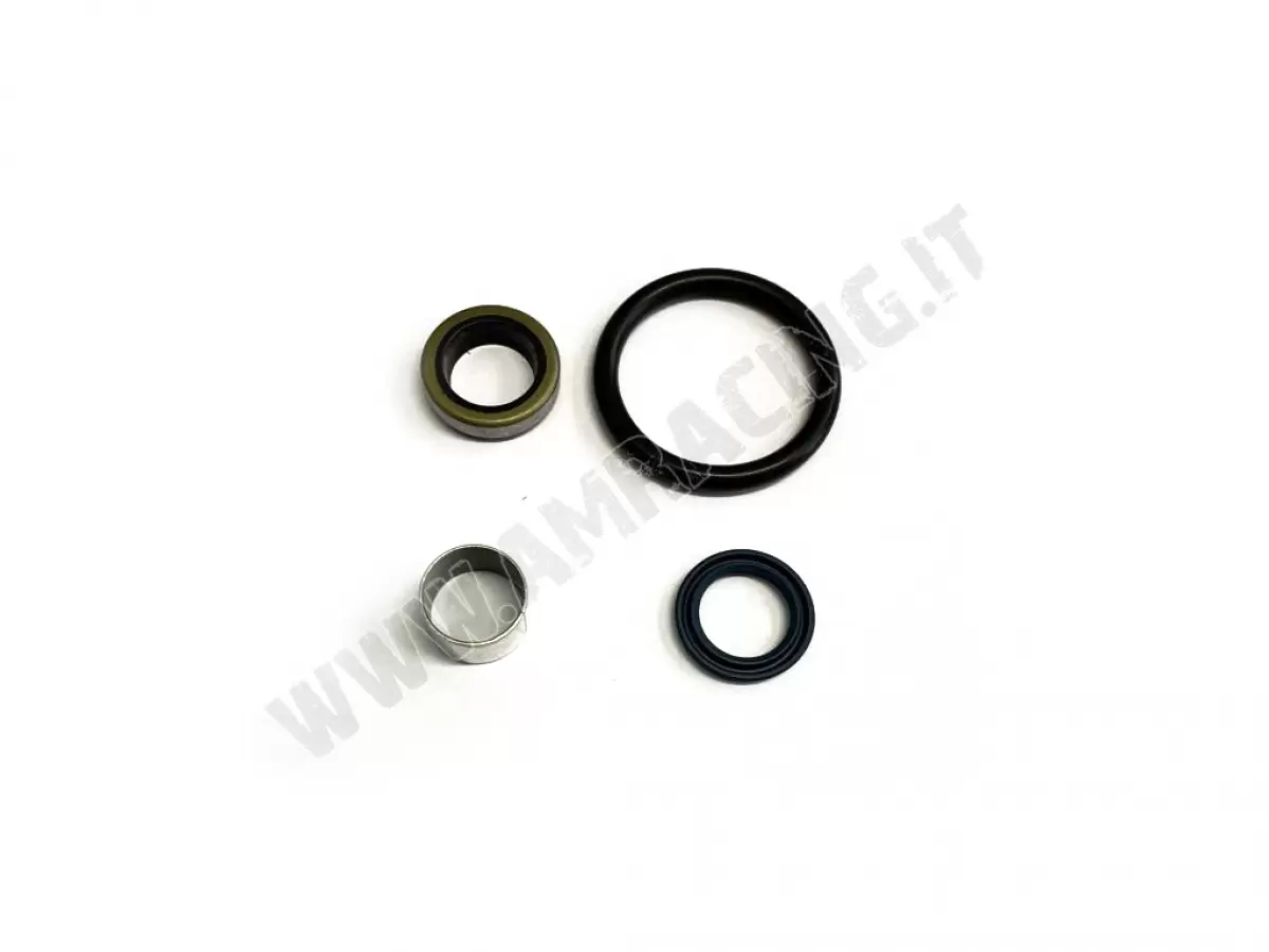 Kit di revisione Sachs stelo d.18