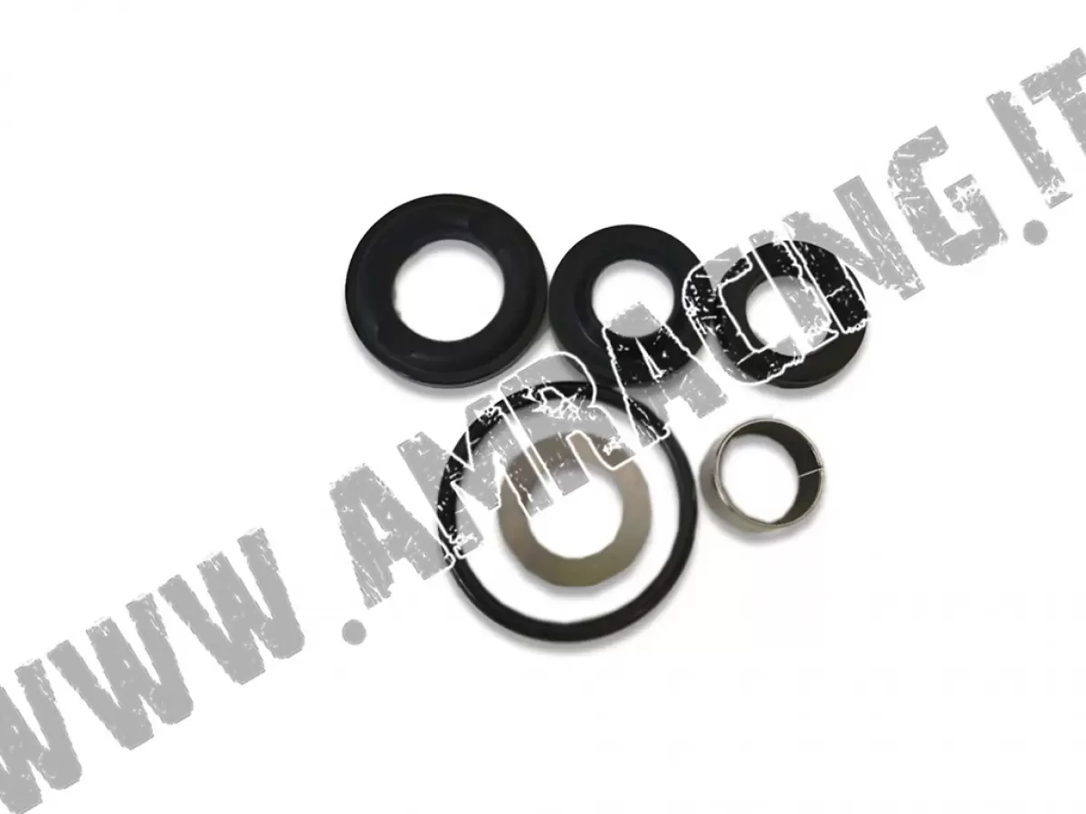TM MY19 SINGLE-CYLINDER GUIDE ROD OVERHAUL KIT