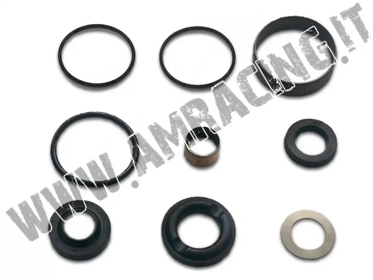 KIT COMPLETO PER REVISIONE MONO AMMORTIZZATORE TM RACING DAL 2019