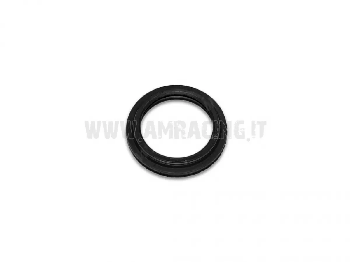 GUARDAPOLVO HORQUILLA D46 PAIOLI USD