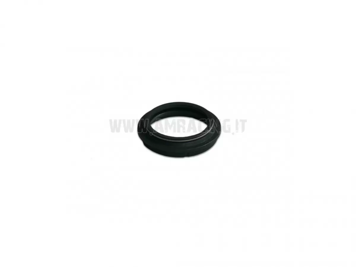 PAIOLI FORK SEAL D43X55,1X9,5/