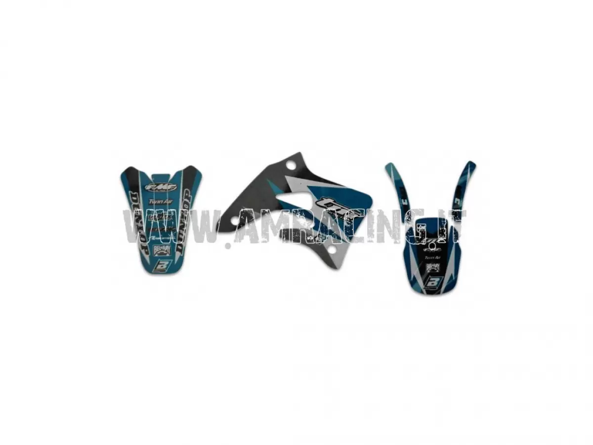 KIT DE ADHESIVOS MOD. 2005 2T