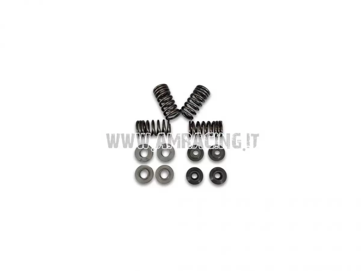 UPDATE: SPRINGS (S/A) + PLATES (S/I) FOR MX MODELS