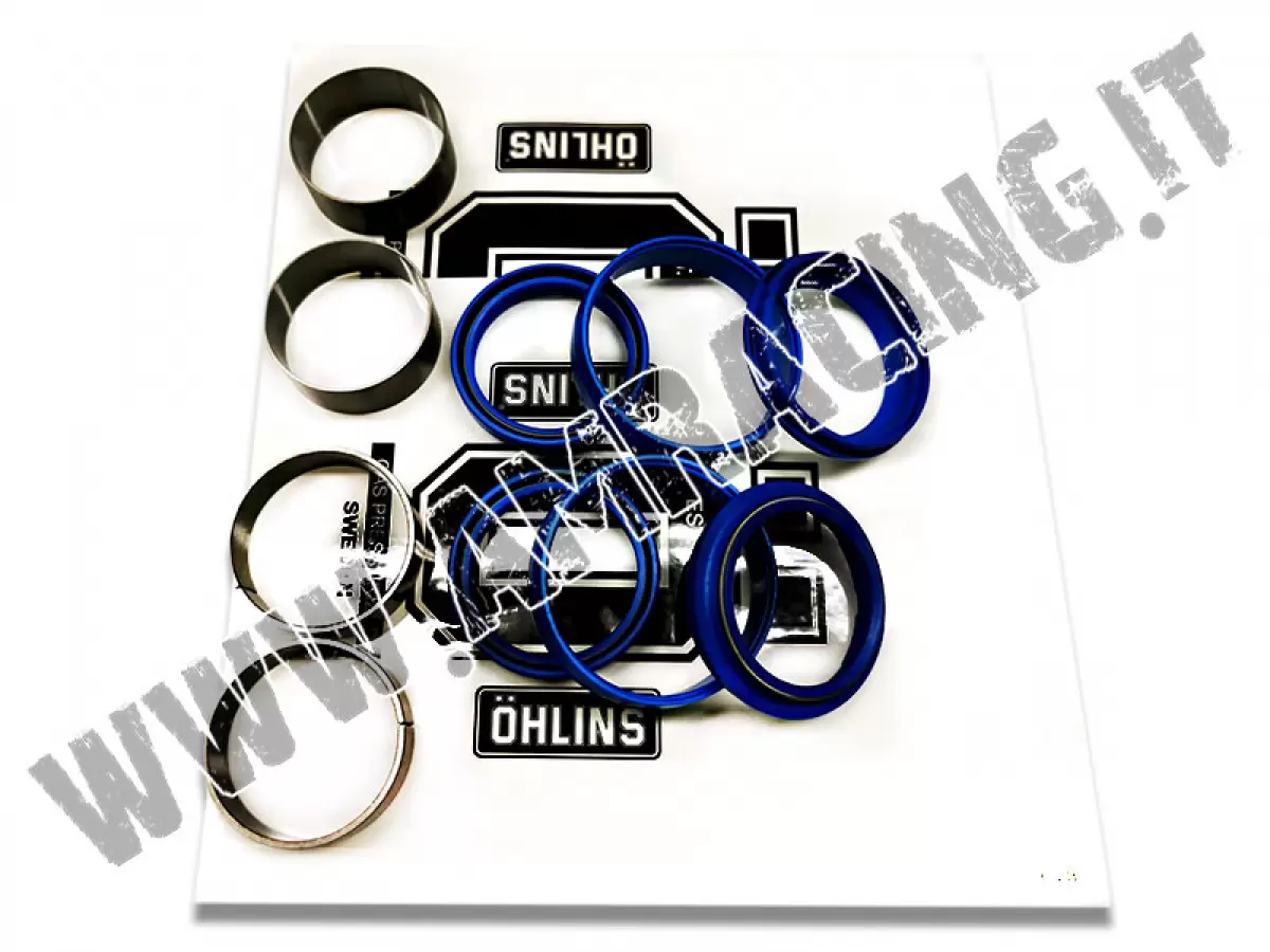 SERVICE KIT REVISIONE FORCELLE OHLINS RXF 48 mm