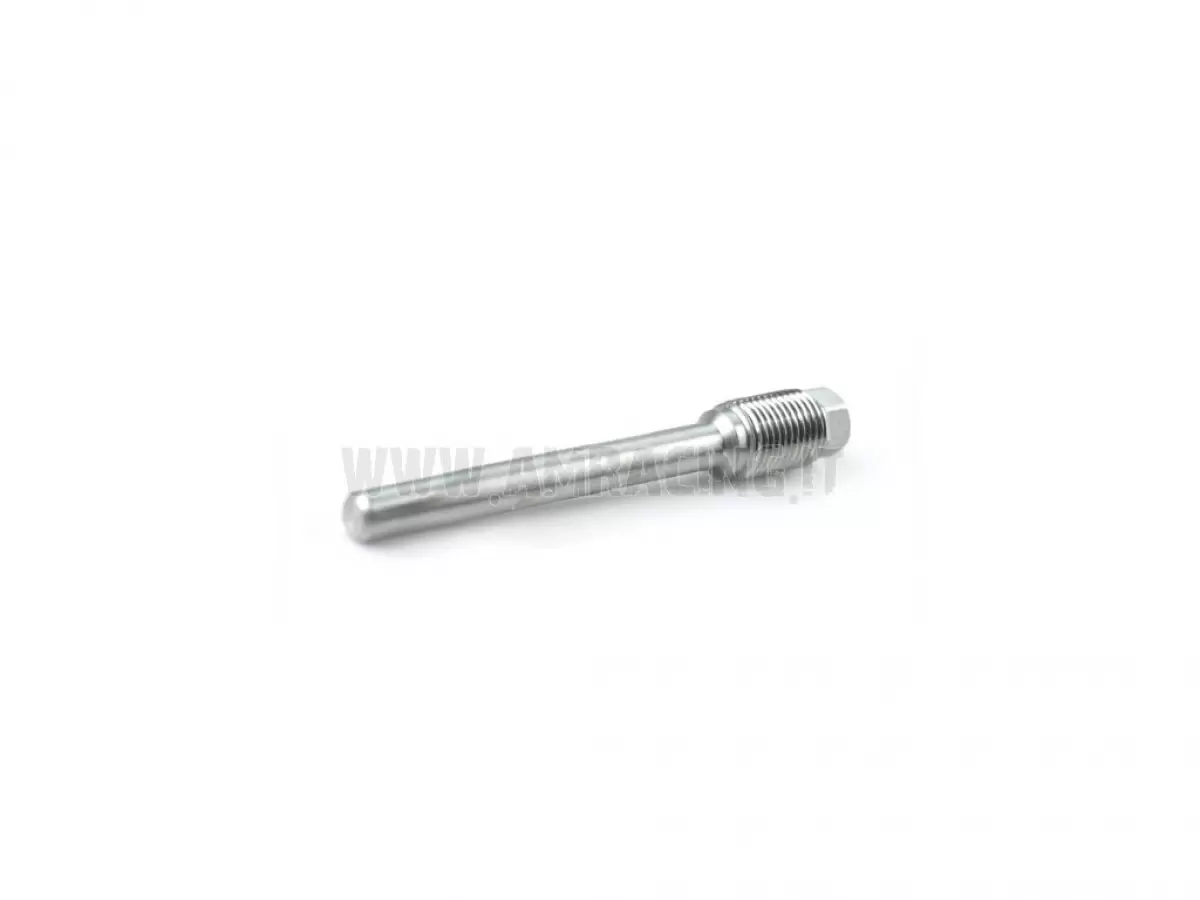 RACING STEEL PIN FOR NISSIN REAR BRAKE CALIPERS BY TM RACING