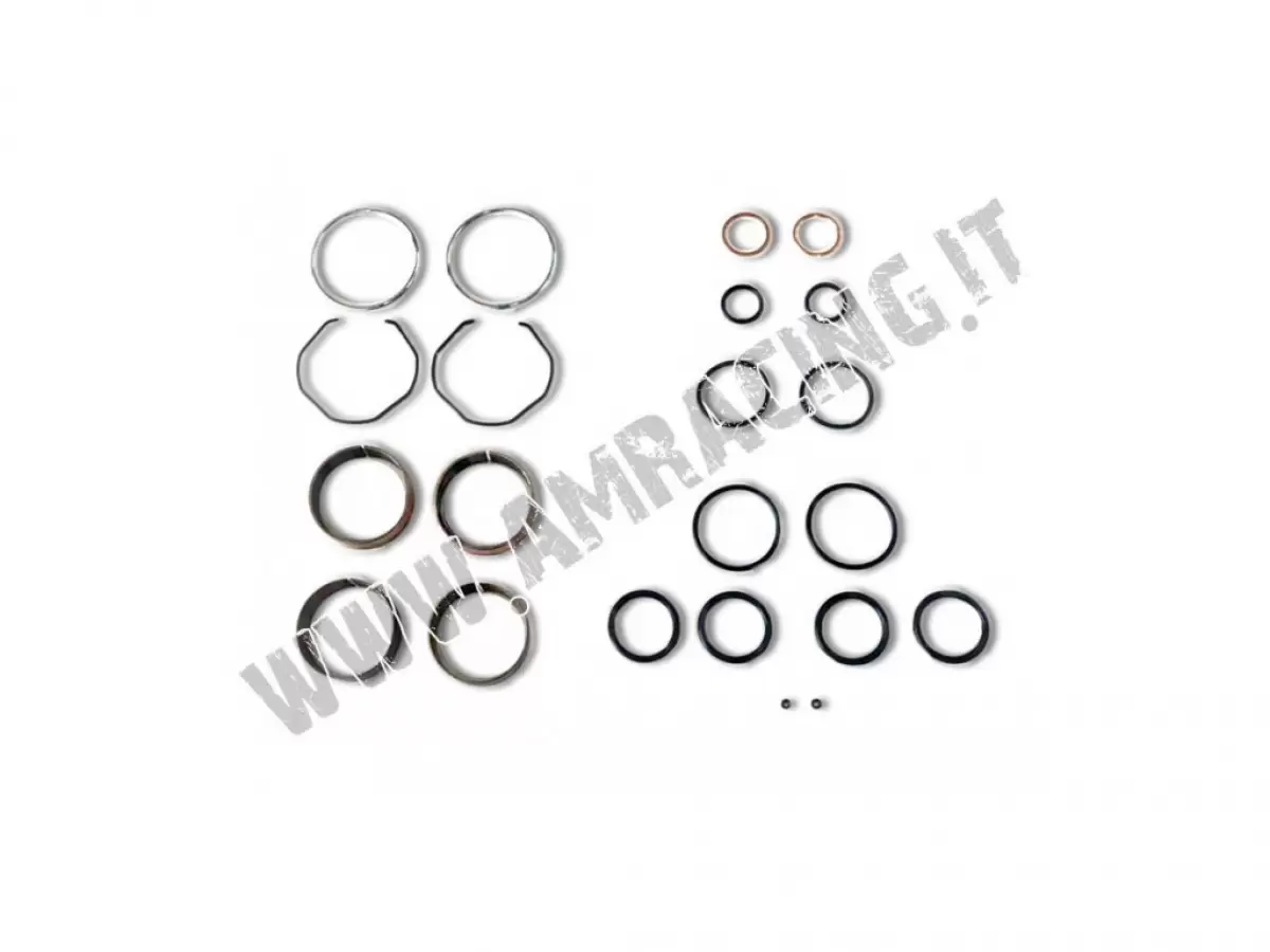 KIT DE CASQUILLOS/COJINETES DE BRONCE/JUNTAS TÓRICAS PARA HORQUILLA KYB 48 TM (ALL MODELS)