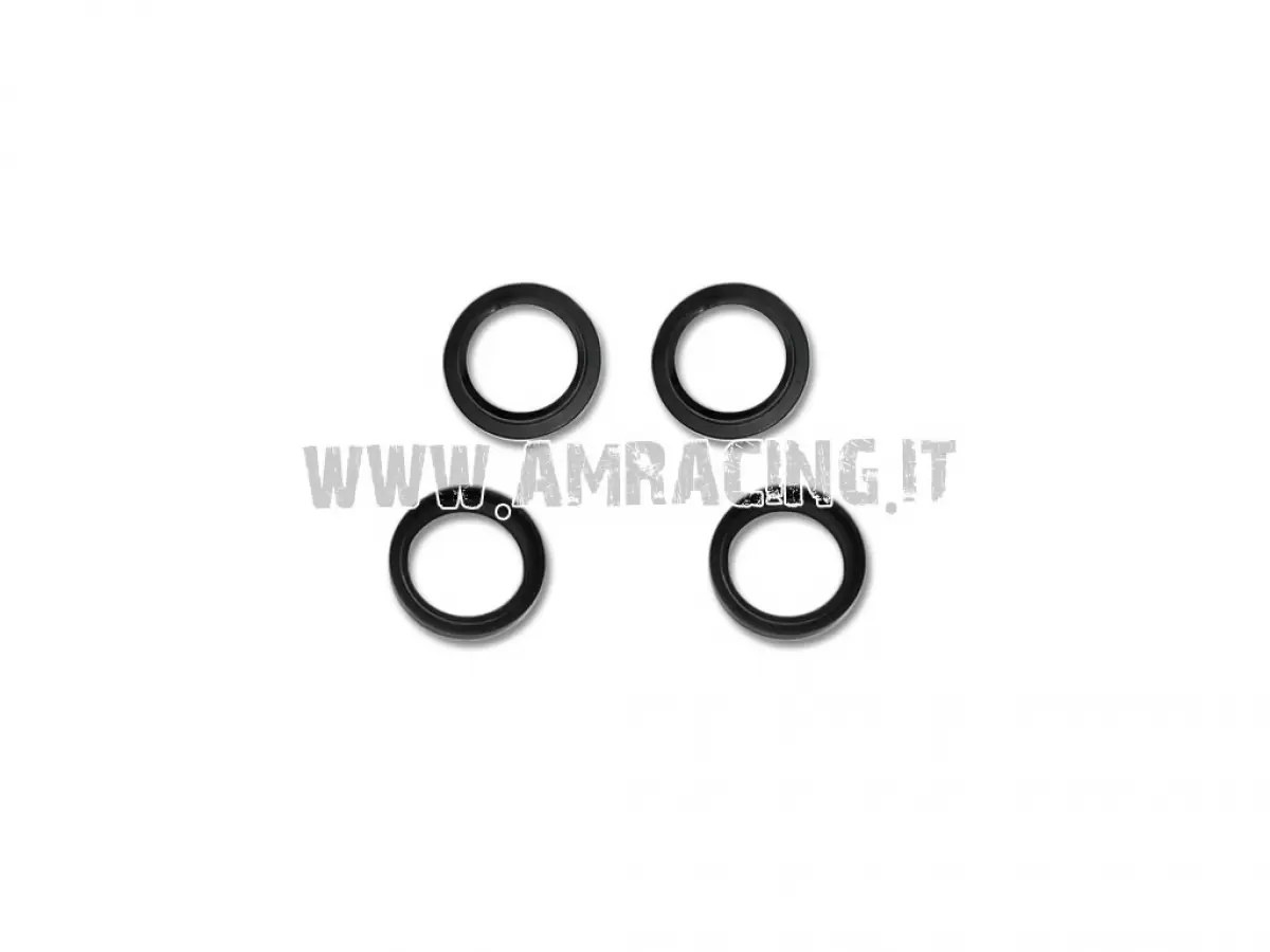 KIT PARAOLI+RASCHIAPOLVERE KYB 48 TM (ALL MODELS)