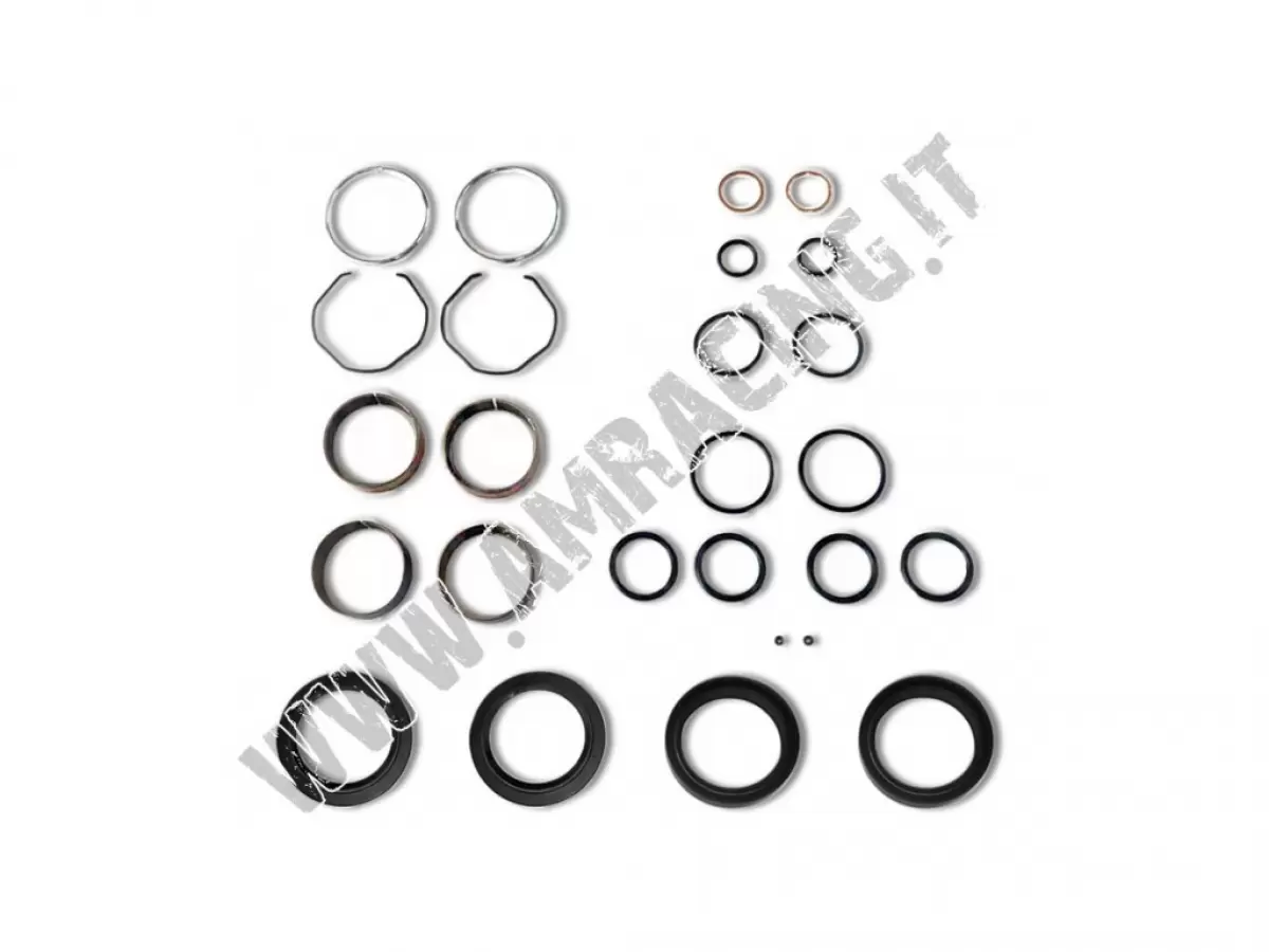 KIT COMPLETO DI REVISIONE FORCELLE KYB 48 TM RACING (ALL MODELS)