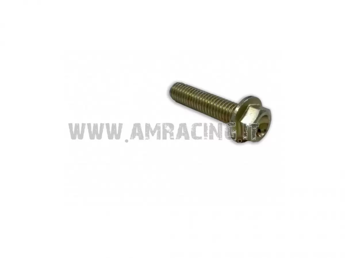 VITE TEF M 6x25 SPEC.