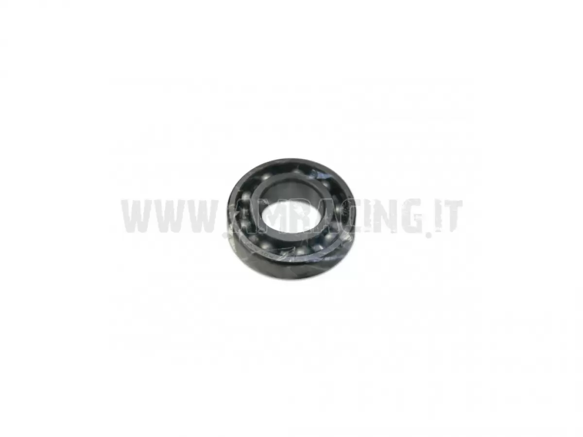 CUSCINETTO ALBERO MOTORE 4T 250/77