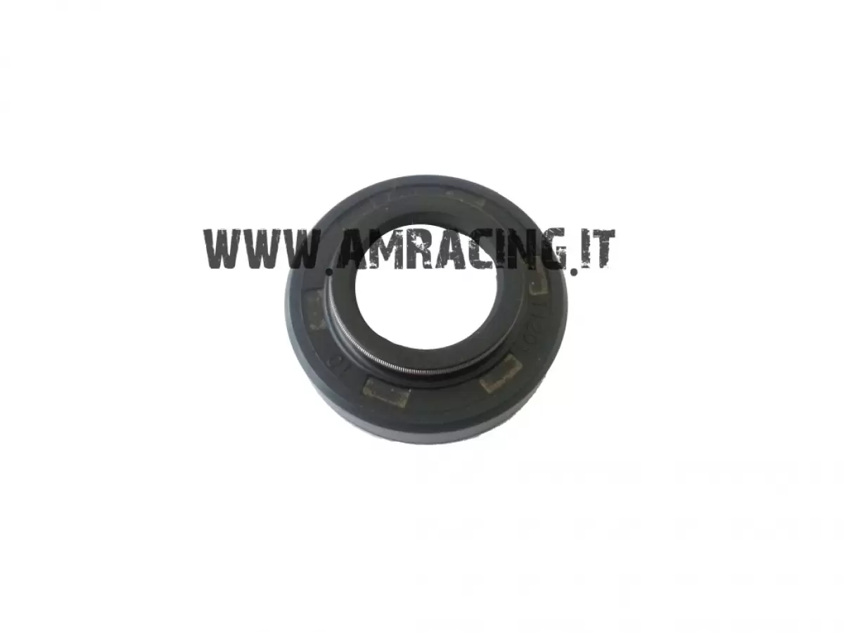 ANELLO PARAPOLVERE 18X30 PER MONOAMMORTIZZATORE TM