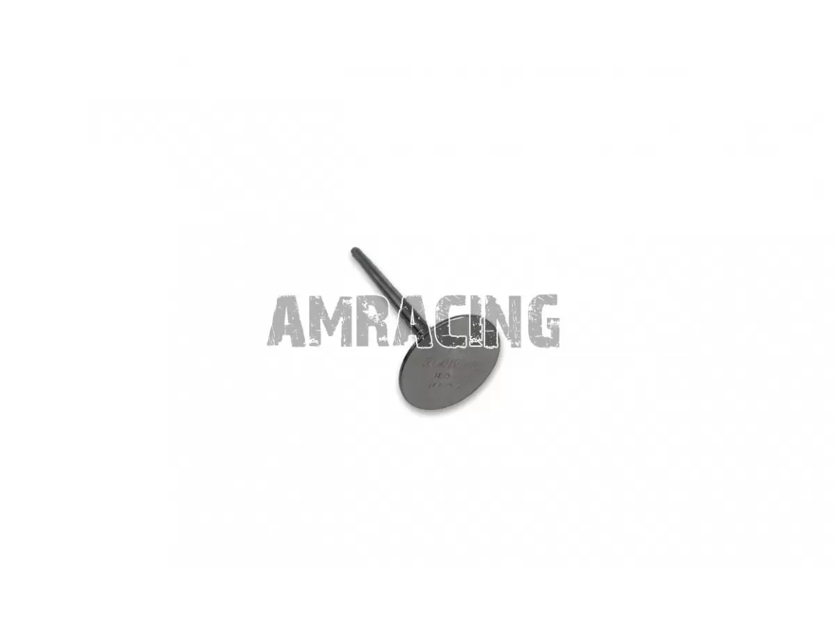 INLET DIA.39X5.5X99 Ti VALVE