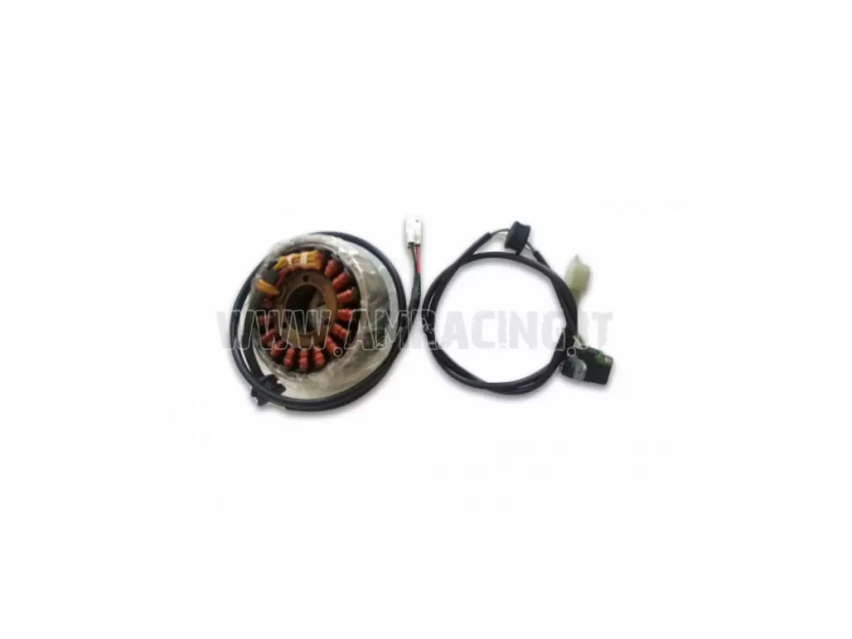 VOLANO MAGNETICO D103mm + PICKUP 0.3 05