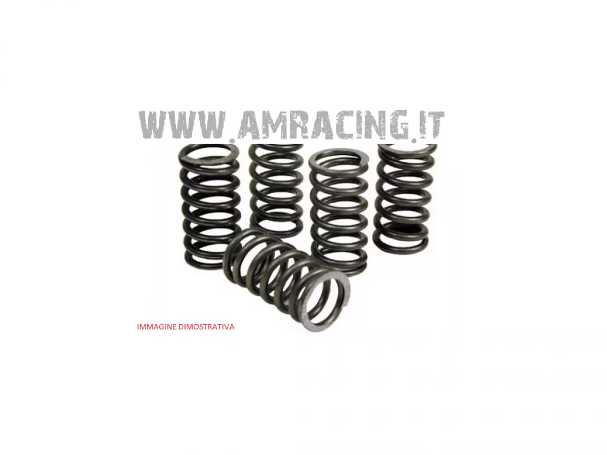 SERIE DI 6 MOLLE FRIZIONE COD.F16453 250/300 2T+TUTTI 4T