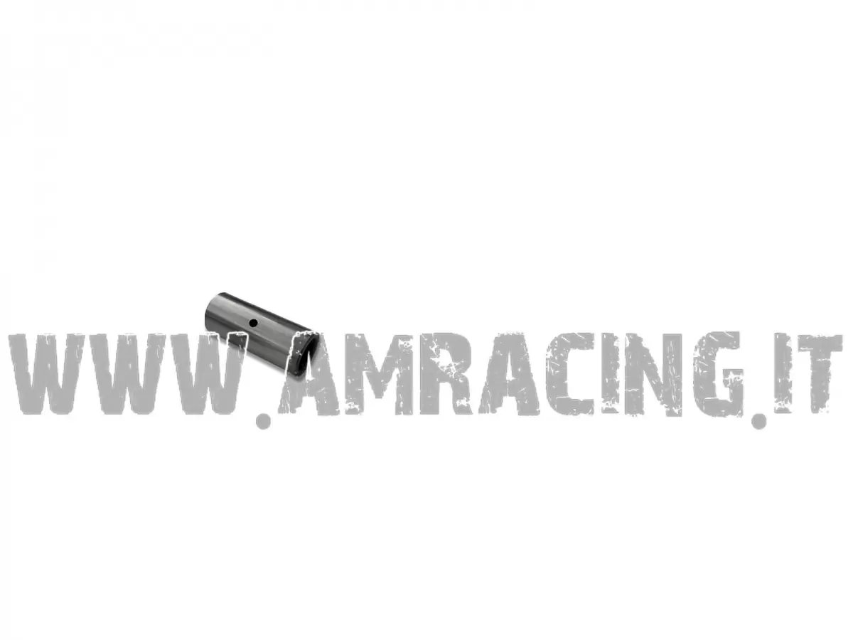 ASSE ROTAZIONE INTR.18X42,7F13
