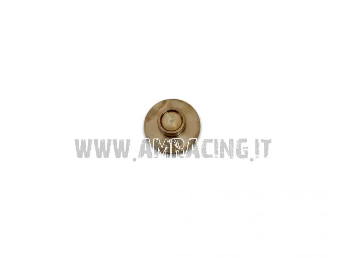 PISTONE POMPA FRIZ. 4T 2009