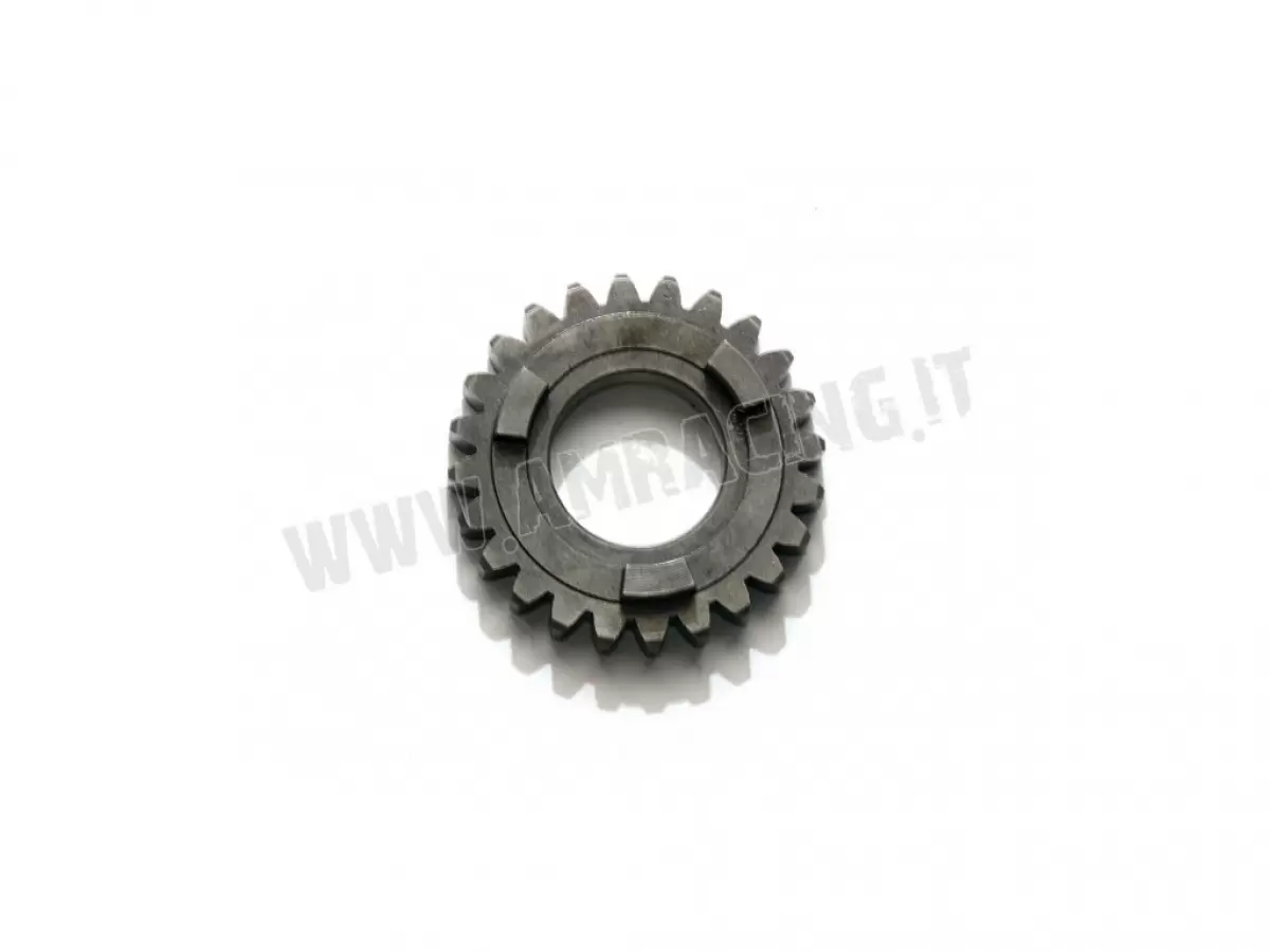 INGR.5a VEL.Z24 A.P.      250N