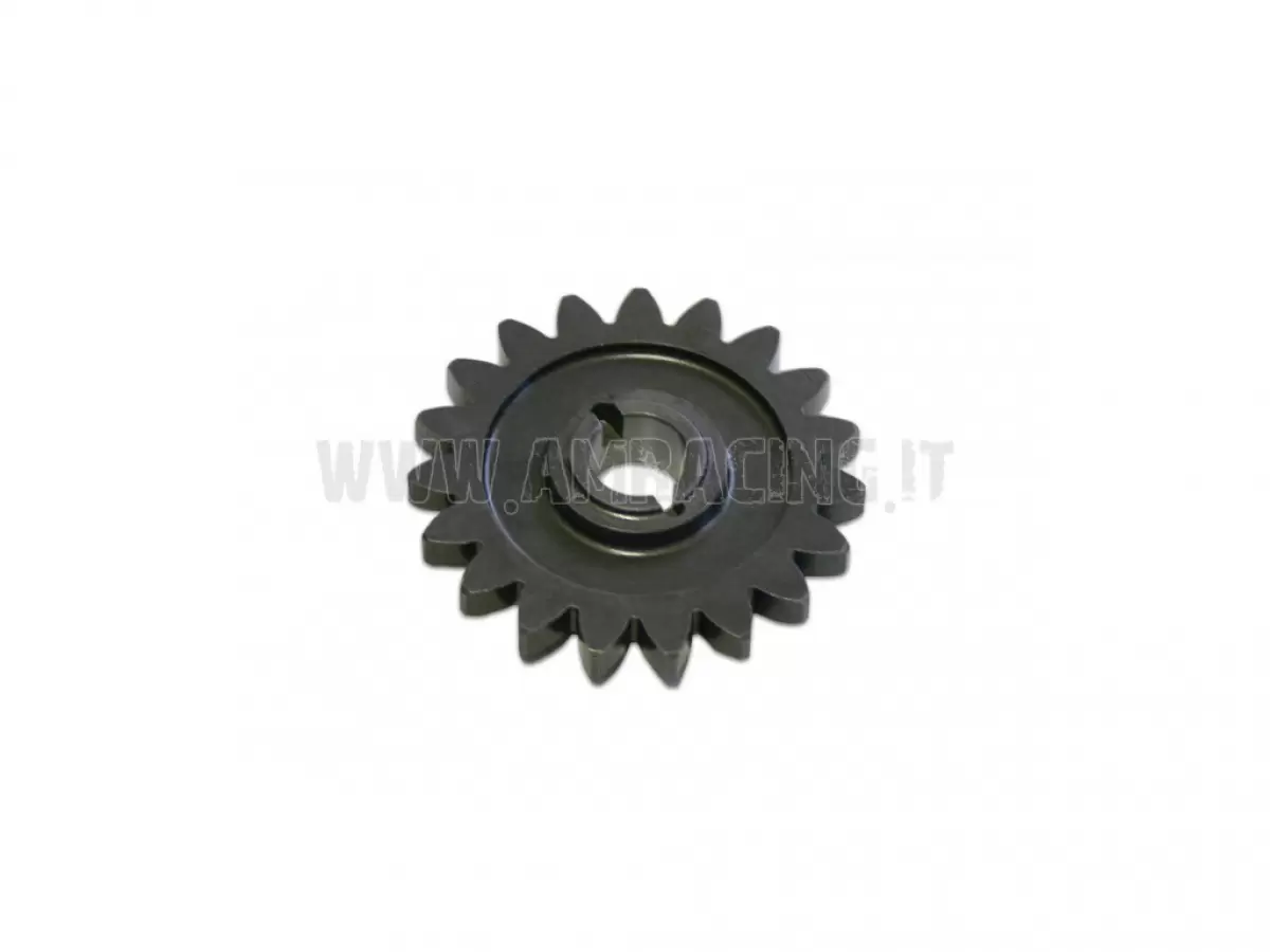 INGRANAGGIO POMPA ACQUA Z19 X 40244/40248