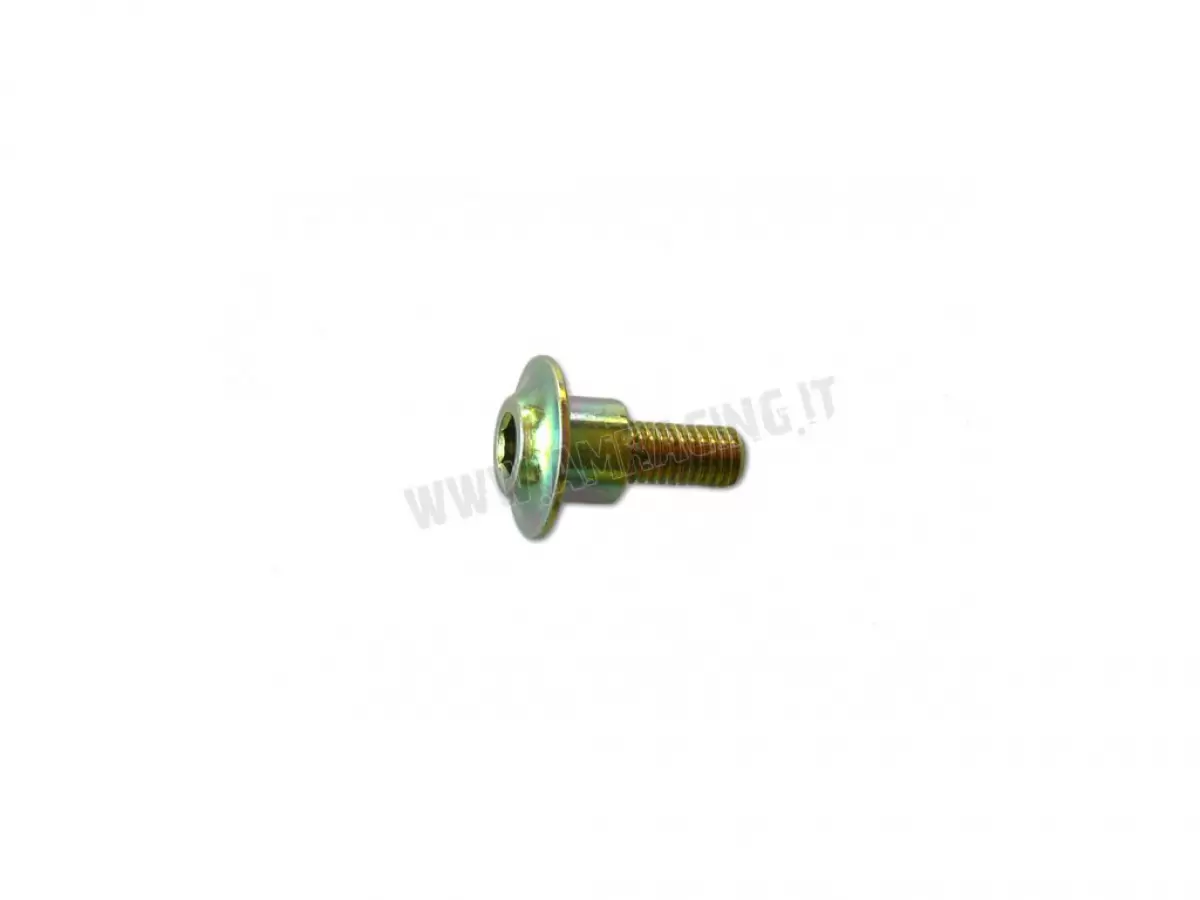SCREW ES.FLANG.M6X12 T.AL.M08