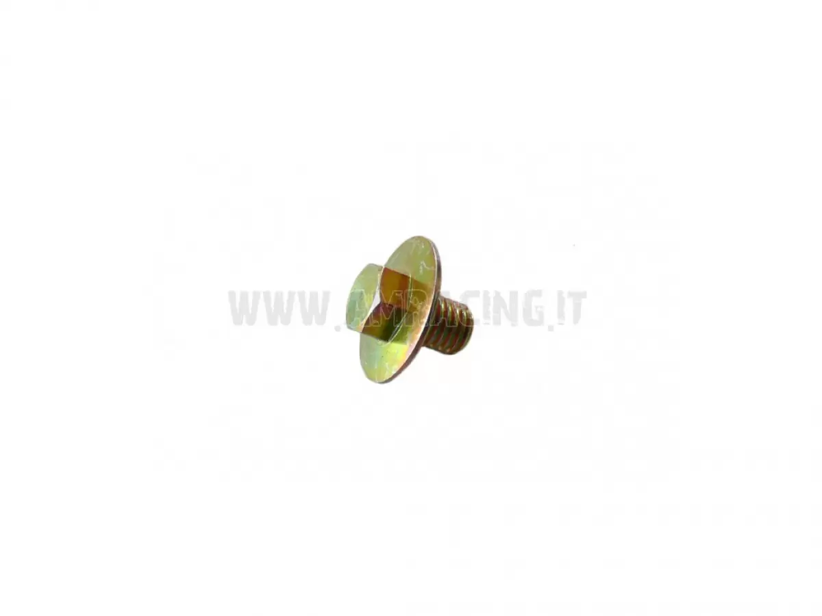 VITE TE F/R 8X10 - M/M 250Fi