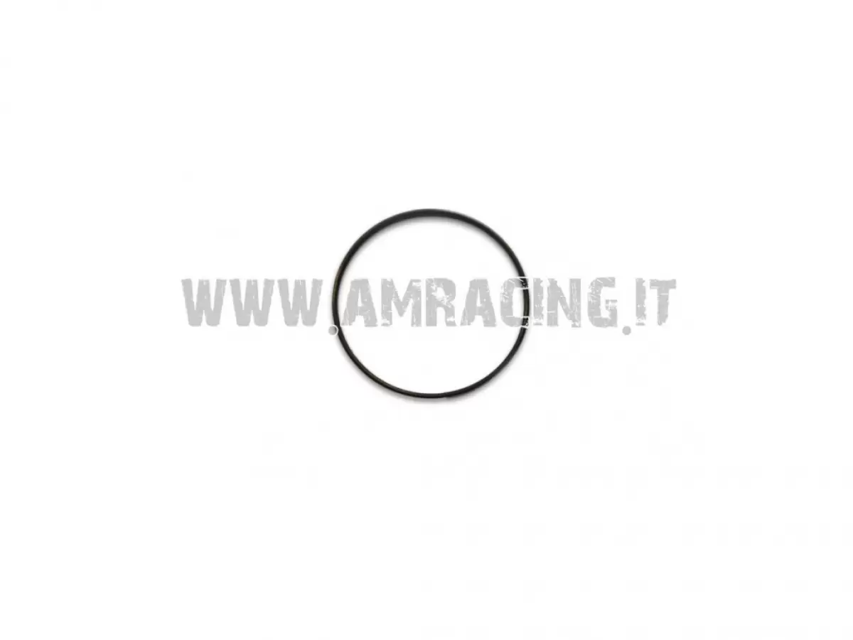 RETAINING RING FOR SHAFTS D.60