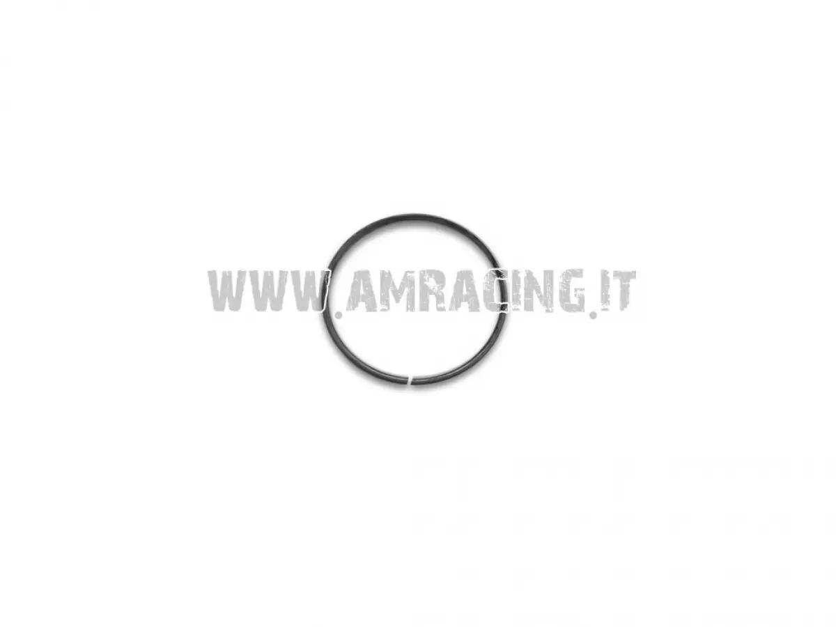 ANILLO DE RETENCIÓN ELÁSTICO PARA EJES D.54,2