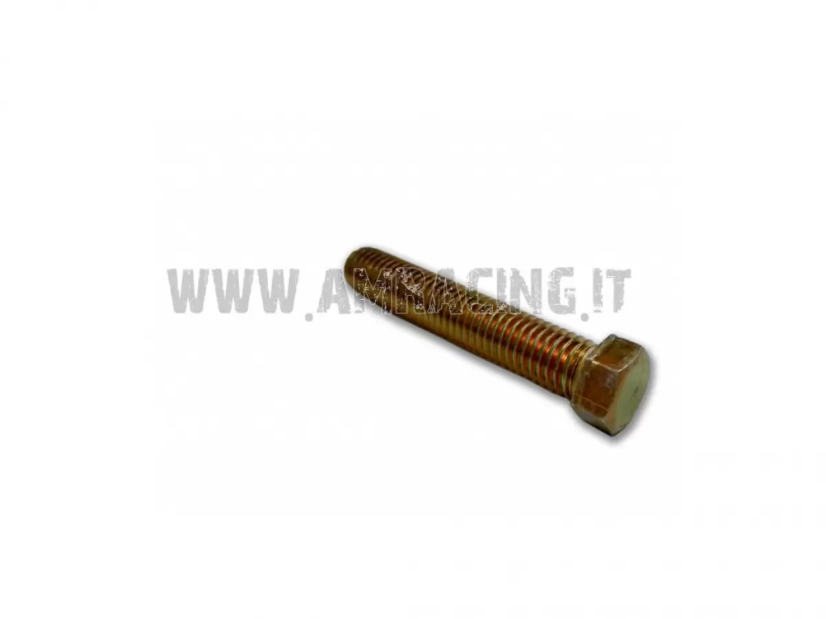 SWINGARM SCREW TE 8X45 ES.10