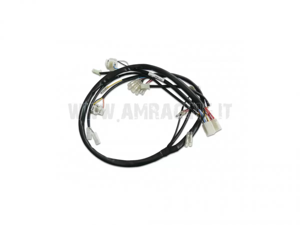 ELECTRICAL WIRING WITH INDICATORS FOR 4-STROKE MODEL 08/11