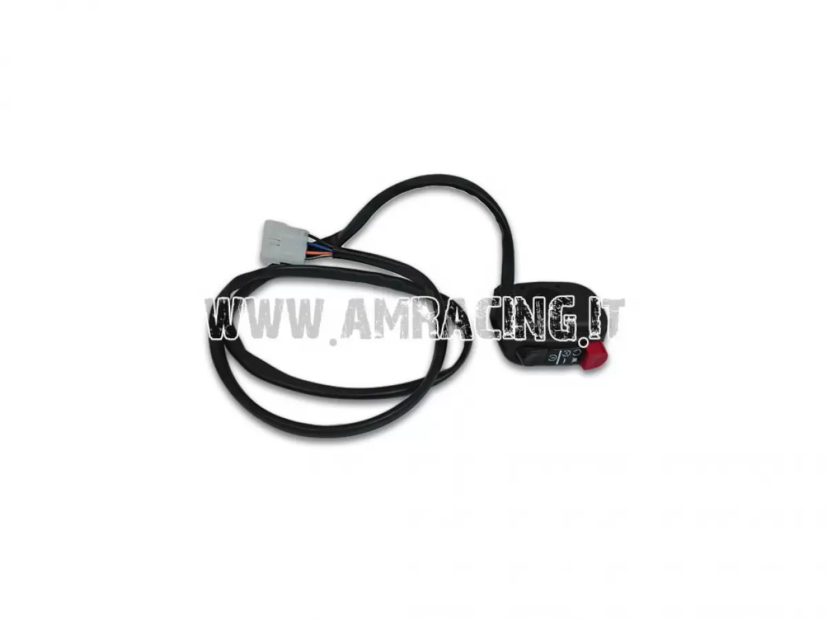 ELECTRIC START BUTTON AND 4-STROKE GROUNDING SWITCH