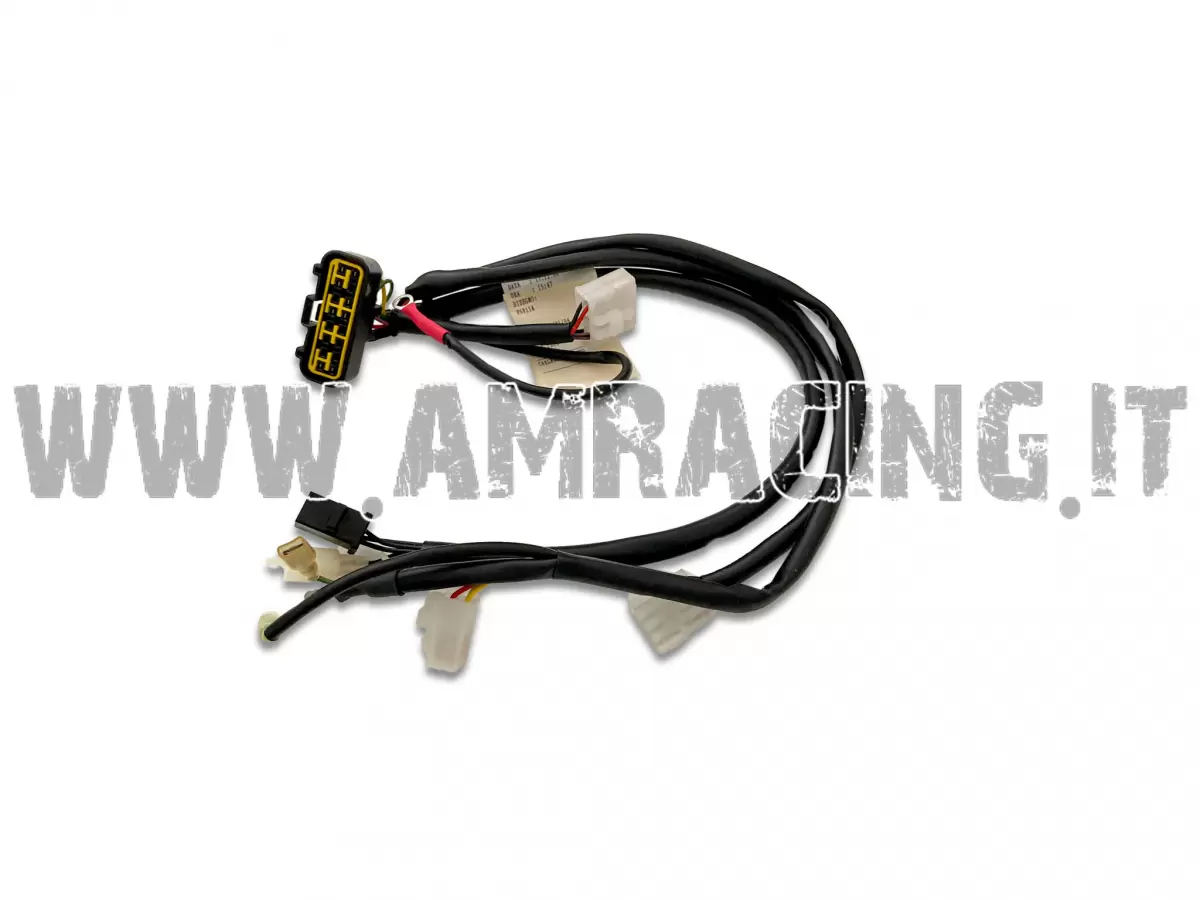 CABLAGGIO PRINCIPALE TM CARBURATORE ES