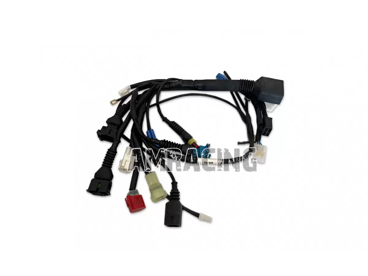 CABLAGGIO 4T 250Fi MX/EN TWIN MY 2019