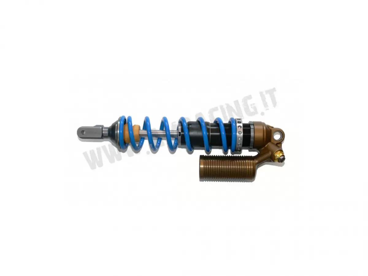 TM 250FI EN SHOCK ABSORBER