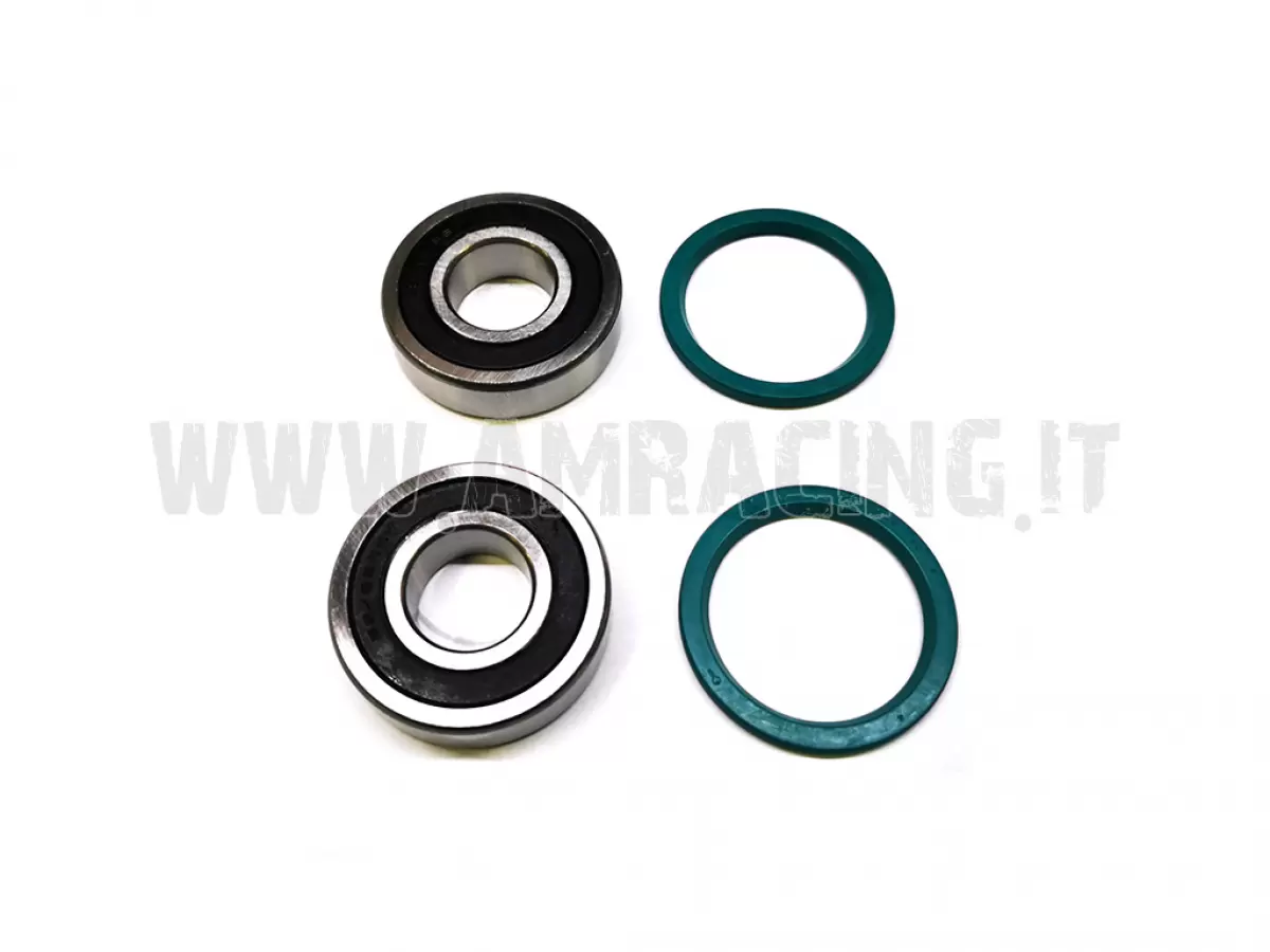 KIT CUSCINETTI + PARAOLI RUOTA POSTERIORE EN/MX 2T/4T 05-14