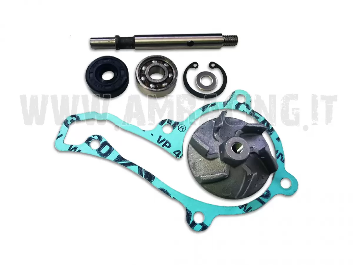 KIT REVISIONE POMPA ACQUA 125cc DAL 2006 AL 2011 MX-EN