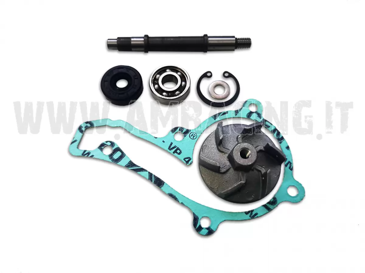 125cc WATER PUMP OVERHAUL KIT FOR 2012–2024 MX-EN + FI MODELS