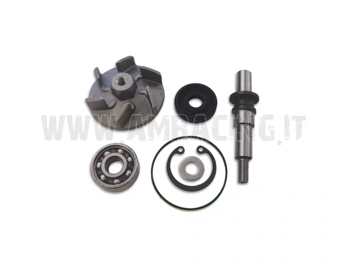 WATER PUMP OVERHAUL KIT 250/300cc FROM 2015 TO 2018 (ALL MODELS)