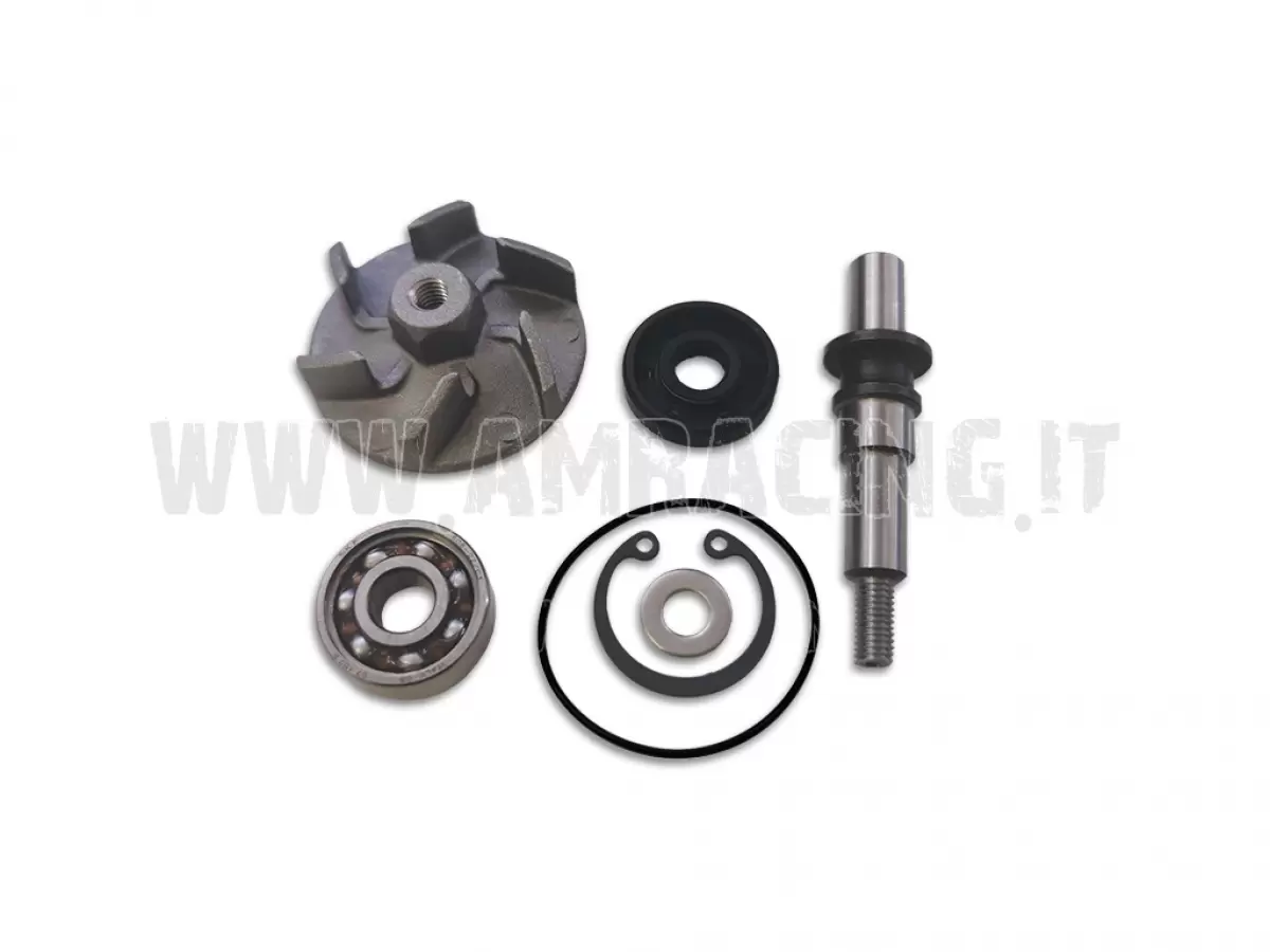 WATER PUMP OVERHAUL KIT 250/300CC FROM 2019 TO 2024 ES (ALL MODELS) + FI