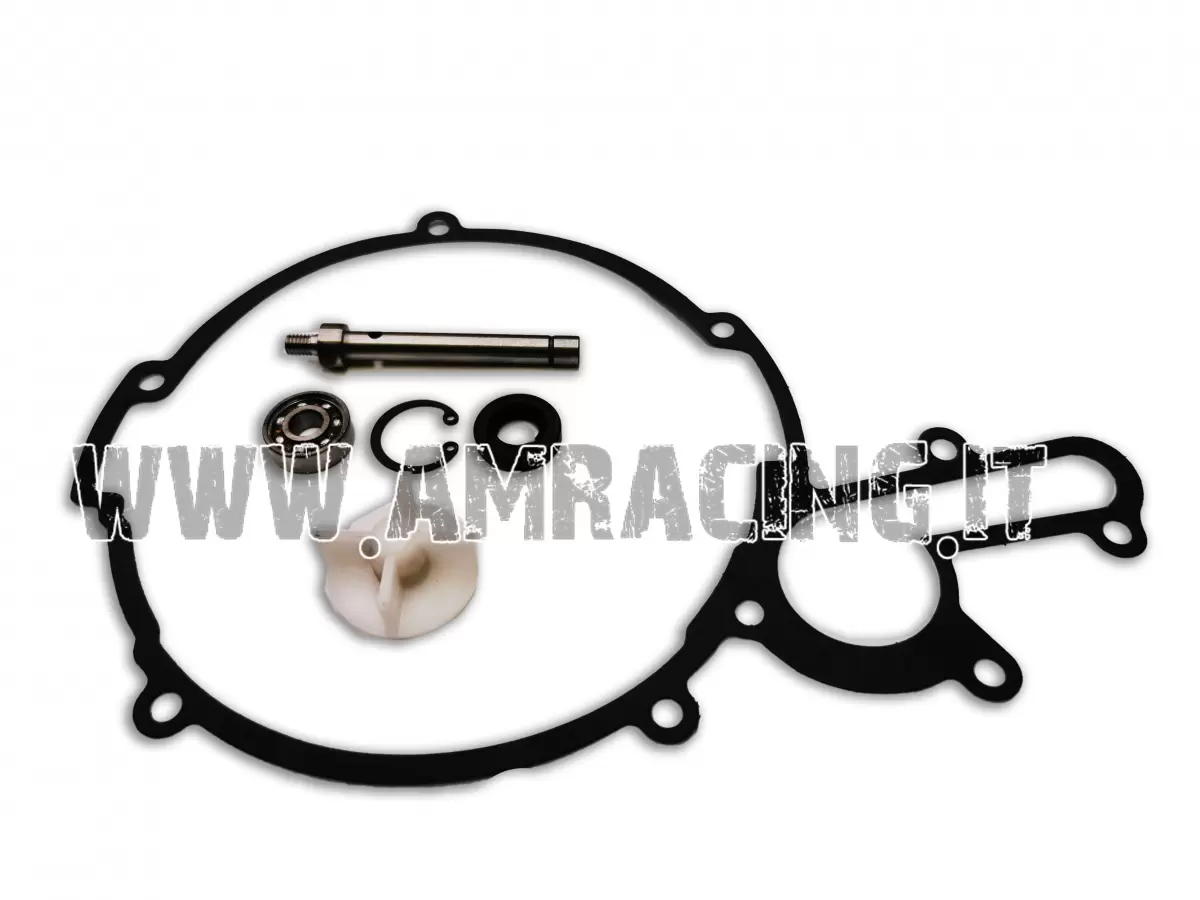 KIT REVISIONE POMPA ACQUA 250/300cc DAL 1997 AL 2014 (TUTTI I MODELLI)