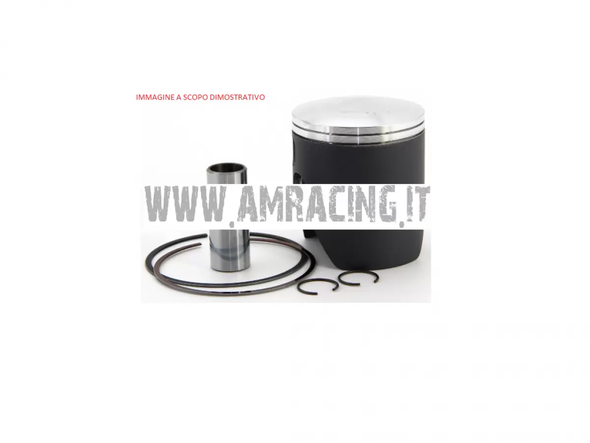 PISTONE WOSSNER TM EN/MX 300 (02-22) 71,94 MONOFASCIA