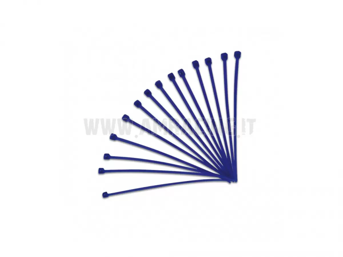 CONF.100 FASCETTE NYLON 4,5X200MM BLU