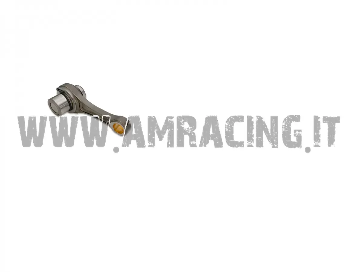 BIELLA 300FI REPLICA MX/EN CPL (D.34XD.17,8 INTERASSE 98,5)
