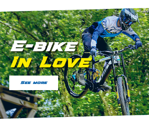ebike