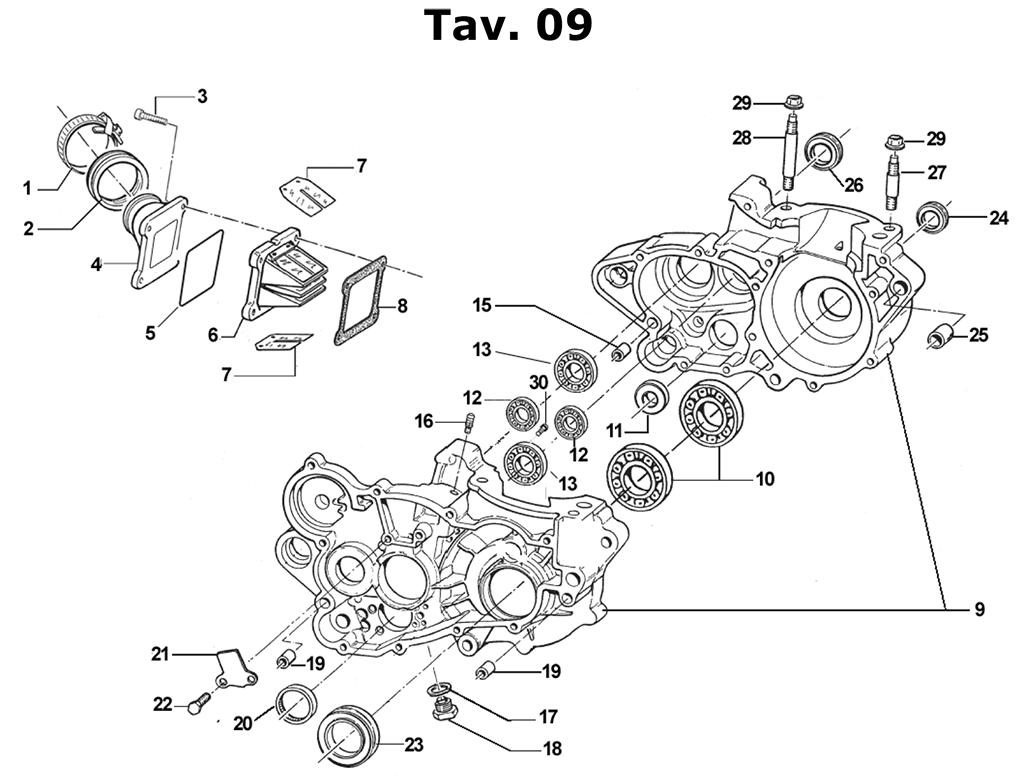 2T 300 MX/EN DE 2015 A 2018 - MOTOR - CARTER