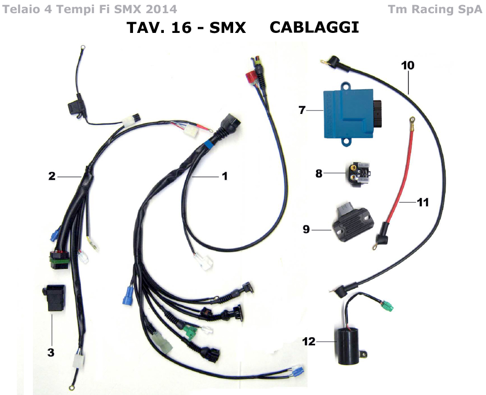 4T 250/450 FI SMX 2014 - TELAIO - CABLAGGI
