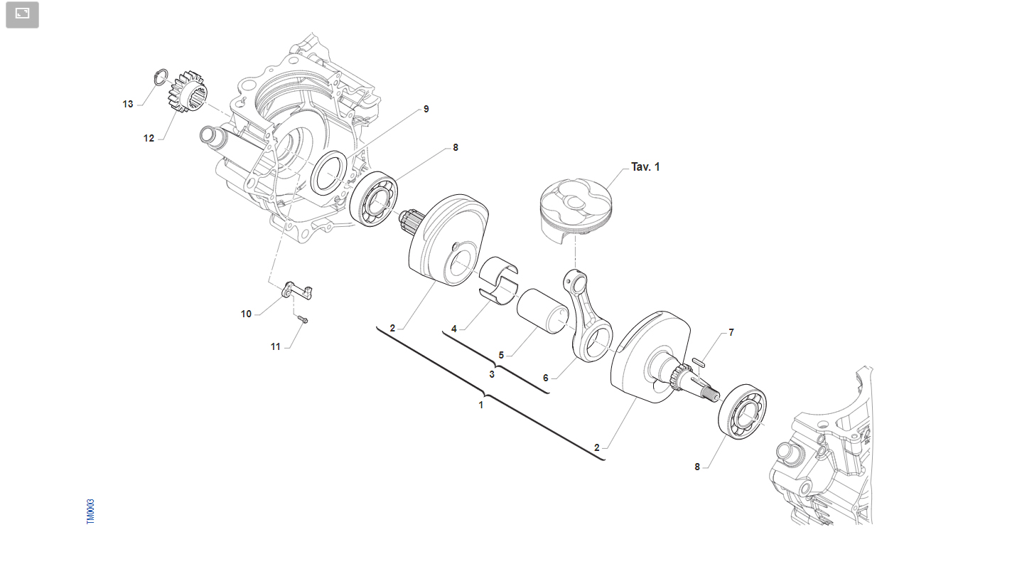 4T 300 FI MX TWIN DAL 2022 AL 2024  - MOTORE - ALBERO MOTORE
