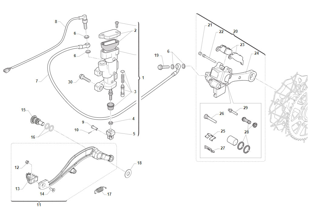 2T 300 / 4T 450 FI SMR 2025/2026 - FRAME - REAR BRAKE