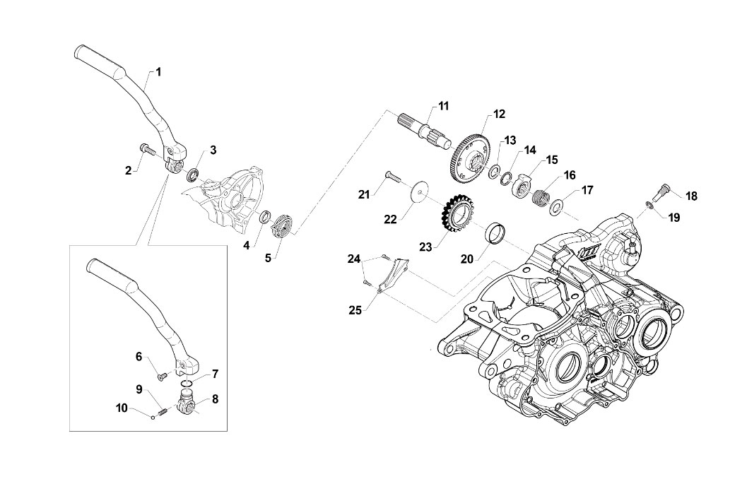 2T 250/300 ES EN/MX 2019 - MOTORE - MESSA IN MOTO