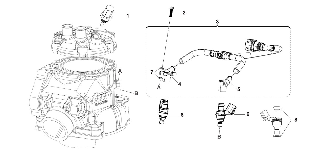2T 250/300 FI ES EN 2019 - MOTORE - SISTEMA INIEZIONE